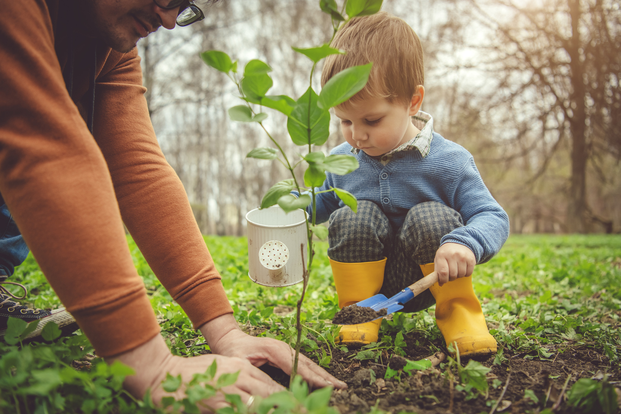 A parent and young child planting a tree together in a garden