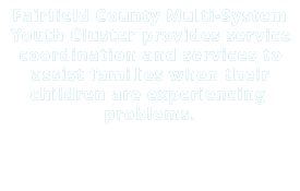 Fairfield County Multi-System