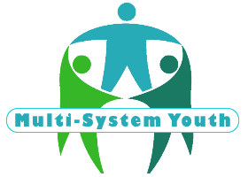 Multi-System Youth icon
