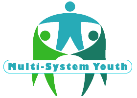 Multi-System Youth Program
